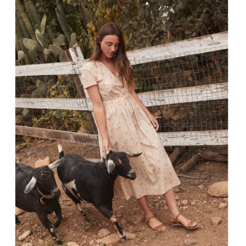 ♥️ Christy Dawn Dress Cream Rose - Picture 5 of 8
